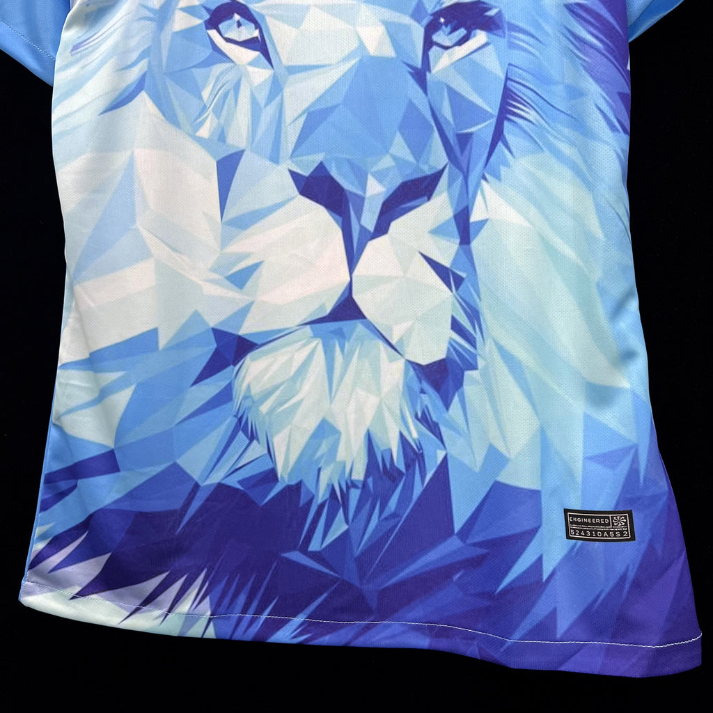 24/25 Netherlands - Special Kit