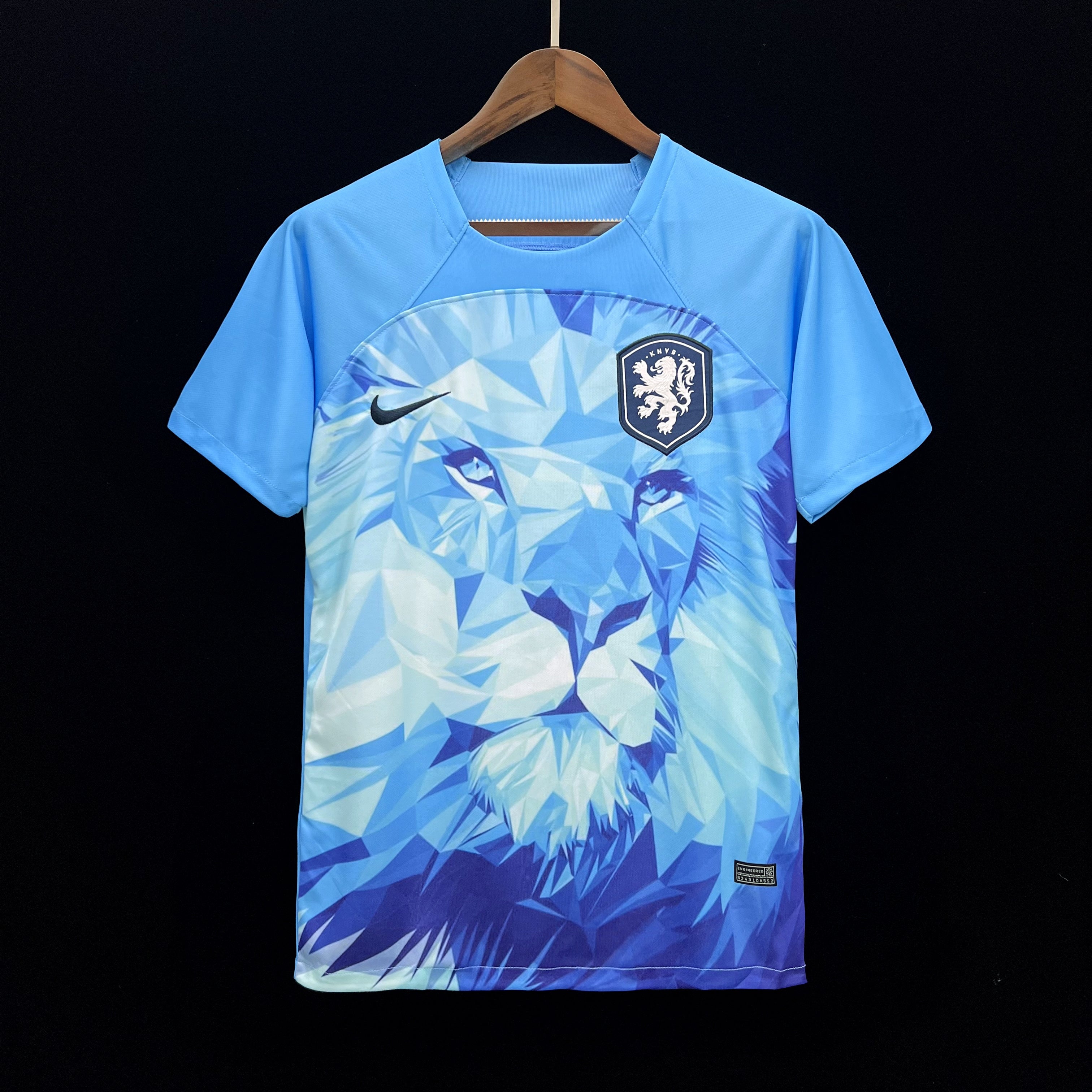 24/25 Netherlands - Special Kit