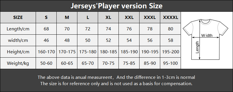PLAYER VERSION